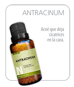 Antracinum
