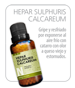 Hepar Sulphuris Calcareum