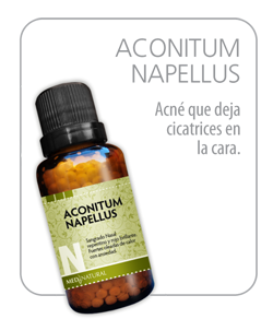 Aconitum Napellus